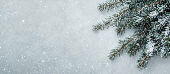Poster - Winter backdrop with fir tree branch and snow creating serene greeting card space for winter wishes and festive messages