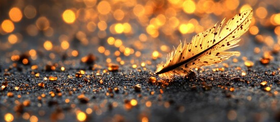 Poster - Golden feather resting on sparkling sand with bokeh lights creating a dreamy and artistic atmosphere for creative projects.