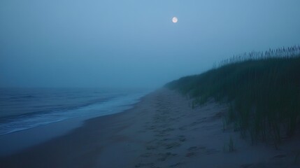 Poster - mysterious summer evening fog envelops beach with moonlight reflecting on tranquil waters
