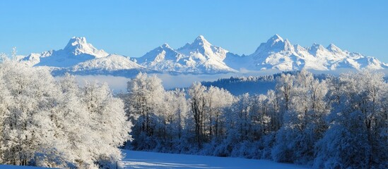 Poster - Majestic winter mountain landscape showcasing snow-covered peaks and frosted trees under a clear blue sky