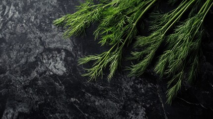 Aufkleber - Fresh green dill on dark marble surface for salad preparation and culinary inspiration