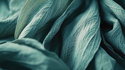 Poster - Macro shot of sage green tropical leaf showcasing intricate vein texture with a stylish earthy background and ample copy space for design use