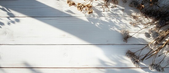 Poster - Flower shadows on a white wooden table creating texture and depth with copy space for design and branding purposes