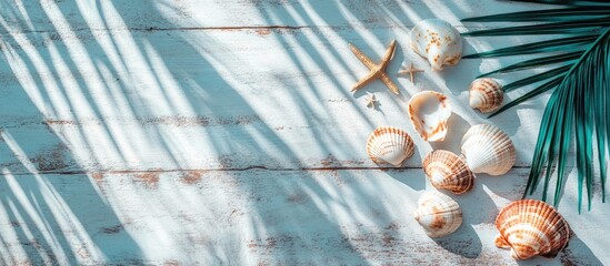 Poster - Flat lay of assorted seashells and starfish beside palm leaf shadows on distressed white wooden surface for coastal decor inspiration