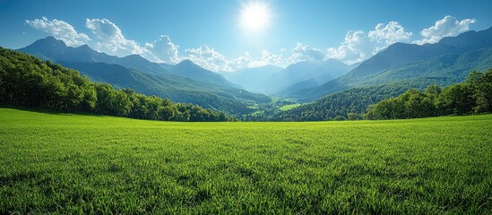 Poster - Lush green valley landscape with vibrant grass, majestic mountains, and a clear blue sky under bright sunlight showcasing nature's beauty.