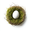 © Alex - A serene white egg resting in a natural nest surrounded by vibrant green moss.