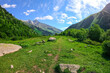 © kosmos111 - Picturesque meadow high in the mountains in sunny weather. Caucasus