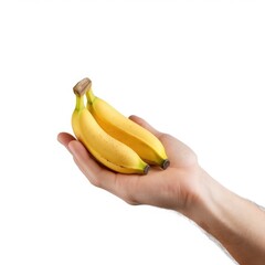 Hand holding two ripe bananas.