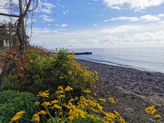 beach and sea