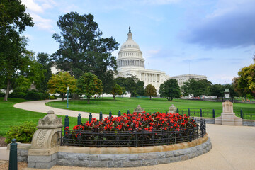 Wall Mural - US Capitol Building - Washington D.C. United States