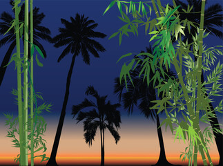 Wall Mural - palm trees silhouettes and bamboo plants on night background