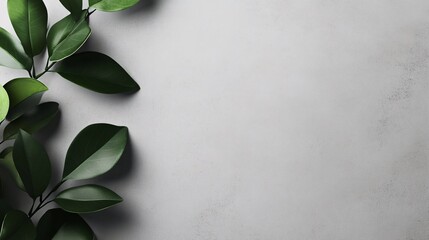 Aufkleber - Green leaves creating a frame on empty gray concrete background