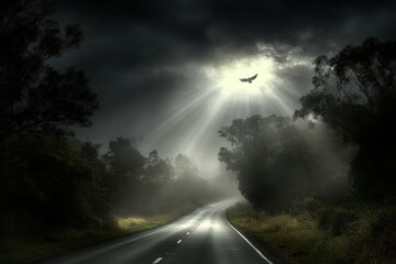 Wall Mural - Mysterious Road Under Dark Skies with Sunlight Beams and Soaring Bird Amidst A Landscape of Trees and Foggy Atmosphere