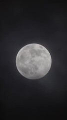 Wall Mural - full moon moving between clouds. vertical video