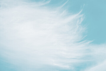 Wall Mural - clear blue sky and white clouds