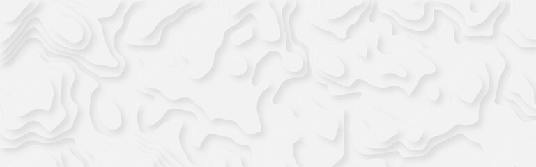Poster - abstract white papercut curved multi layers and shadow. paper topography pattern art 3d vector for b