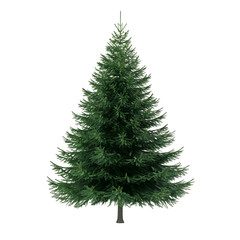 Poster - 3d rendering of a vibrant green spruce tree, ideal for holiday or nature-inspired designs, with transparent background