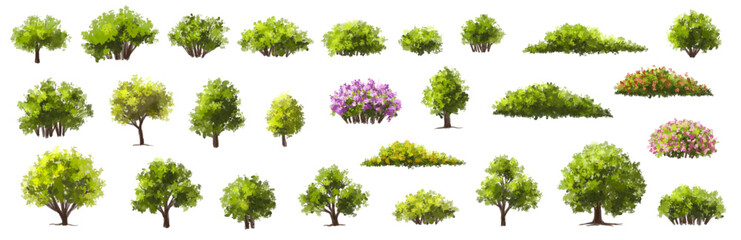Wall Mural - vector watercolor blooming flower tree or forest side view isolated on white background for landscap