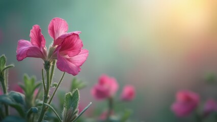 Poster - A close up of a pink flower with green leaves