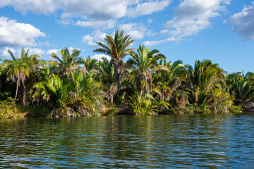 Wall Mural - Landscape of Chapada das Mesas National Park from Tocantins River - Carolina, State of Maranhão