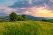 © stone36 - Green meadow with wildflowers under beautiful sky with clouds. Panorama of mountains at sunset time. Carpathian mountains, Ukraine.