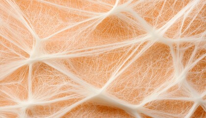Poster - A close-up view of intricate, fibrous textures resembling natural skin layers, showcasing fine details and a warm, soft color palette.