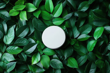 Poster - A minimalist jar on a bed of green leaves, suggesting natural beauty or skincare.