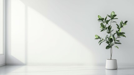 Poster - Creating a clean aesthetic design techniques for soft grey gradients on a white background