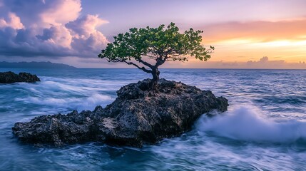 Wall Mural - Lone Tree Stands Strong On Ocean Rock At Sunset