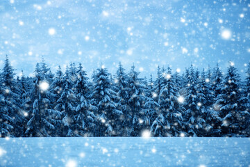 Wall Mural - Winter forest with white falling Snow .