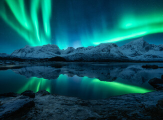 Wall Mural - aurora borealis over the snowy mountains, frozen sea, reflection in water at winter night. lofoten, 