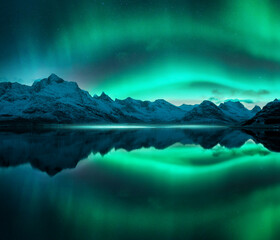 Wall Mural - aurora borealis over the snowy mountains, frozen sea, reflection in water at winter night. lofoten, 