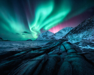 Wall Mural - aurora borealis on night starry sky with vibrant green and pink colors, rocky shore in winter. lands