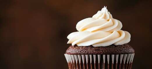 Wall Mural - Moist chocolate cupcake topped with creamy vanilla frosting against a dark background