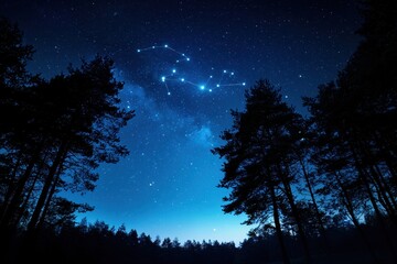 Wall Mural - The sky is dark and the stars are shining brightly