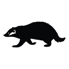 Wall Mural - A black and white drawing of a badger. The badger is walking on a white background