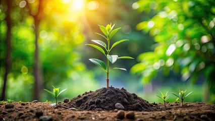 Wall Mural - Planting tree seedlings in nature with green background , environment, sustainability, conservation, growth, forest, ecology