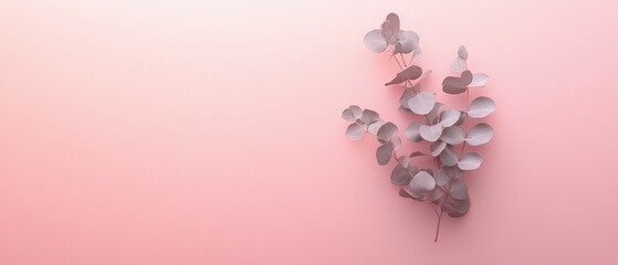 Poster - Elegant eucalyptus sprig on soft pink background a calm nature aesthetic