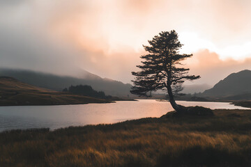 Wall Mural - A lone tree stands in a field of tall grass by a lake