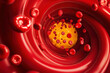 © Phichitpon - fat cell and erythrocyte in the blood, inside the blood vessel, High quality cholesterol in a blood.