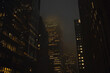 © pavlofox - Nighttime view of skyscrapers illuminated in foggy cityscape