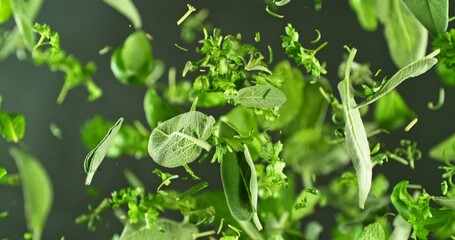 Poster - Super Slow Motion of Flying Fresh Herb Leaves. Filmed on High Speed Cinema Camera, 1000 fps. Camera Placed on High Speed Cine Bot, Rotating. Speed Ramp Effect.