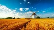 © FCEalin  - Peaceful rural countryside with fields of golden wheat and a windmill under a blue sky.