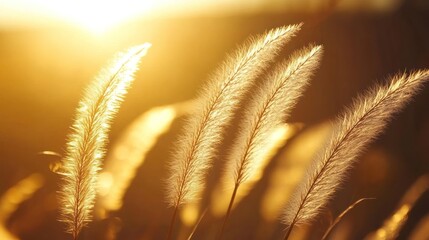 Sticker - close up of wheat