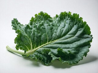 Wall Mural - A single kale leaf laid flat on a pure white background