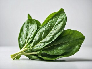 Wall Mural - A fresh spinach leaves placed centrally on a pure white background.