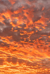 Wall Mural - dramatic red sky clouds vertical, sunset sky in the evening with red, orange, yellow sunlight in gol