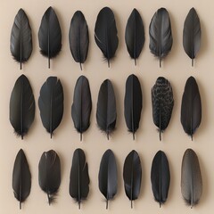 Poster - A Collection of Elegant Black Feathers Displayed on a Soft Beige Background Showcasing Varying Shapes, Textures, and Patterns for Artistic Inspiration and Design Elements