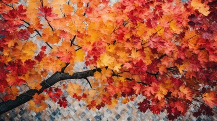 Wall Mural - foliage tree from above