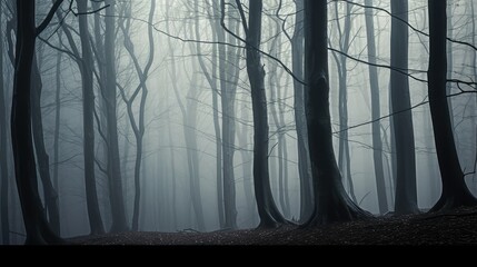 Wall Mural - eerie foggy trees